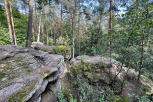 23.07.2023. Rezerwat Skałki Piekło pod Niekłaniem / Fot. Robert Felczak – Radio Kielce