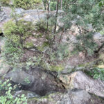 23.07.2023. Rezerwat Skałki Piekło pod Niekłaniem / Fot. Robert Felczak – Radio Kielce