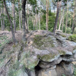 23.07.2023. Rezerwat Skałki Piekło pod Niekłaniem / Fot. Robert Felczak – Radio Kielce