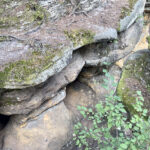 23.07.2023. Rezerwat Skałki Piekło pod Niekłaniem / Fot. Robert Felczak – Radio Kielce