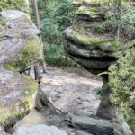 23.07.2023. Rezerwat Skałki Piekło pod Niekłaniem / Fot. Robert Felczak – Radio Kielce