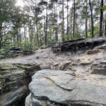 23.07.2023. Rezerwat Skałki Piekło pod Niekłaniem / Fot. Robert Felczak – Radio Kielce