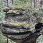 23.07.2023. Rezerwat Skałki Piekło pod Niekłaniem / Fot. Robert Felczak – Radio Kielce