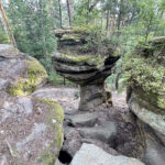 23.07.2023. Rezerwat Skałki Piekło pod Niekłaniem / Fot. Robert Felczak – Radio Kielce