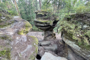 23.07.2023. Rezerwat Skałki Piekło pod Niekłaniem / Fot. Robert Felczak – Radio Kielce