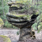 23.07.2023. Rezerwat Skałki Piekło pod Niekłaniem / Fot. Robert Felczak – Radio Kielce