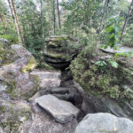 23.07.2023. Rezerwat Skałki Piekło pod Niekłaniem / Fot. Robert Felczak – Radio Kielce