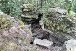 23.07.2023. Rezerwat Skałki Piekło pod Niekłaniem / Fot. Robert Felczak – Radio Kielce