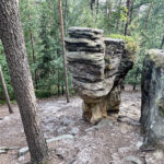 23.07.2023. Rezerwat Skałki Piekło pod Niekłaniem / Fot. Robert Felczak – Radio Kielce