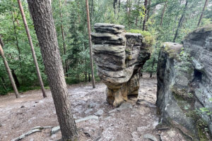 23.07.2023. Rezerwat Skałki Piekło pod Niekłaniem / Fot. Robert Felczak – Radio Kielce