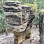 23.07.2023. Rezerwat Skałki Piekło pod Niekłaniem / Fot. Robert Felczak – Radio Kielce