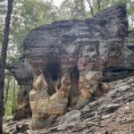 23.07.2023. Rezerwat Skałki Piekło pod Niekłaniem / Fot. Robert Felczak – Radio Kielce