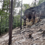 23.07.2023. Rezerwat Skałki Piekło pod Niekłaniem / Fot. Robert Felczak – Radio Kielce