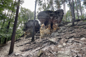 23.07.2023. Rezerwat Skałki Piekło pod Niekłaniem / Fot. Robert Felczak – Radio Kielce