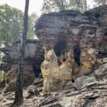 23.07.2023. Rezerwat Skałki Piekło pod Niekłaniem / Fot. Robert Felczak – Radio Kielce