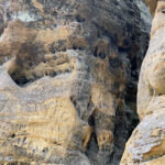 23.07.2023. Rezerwat Skałki Piekło pod Niekłaniem / Fot. Robert Felczak – Radio Kielce