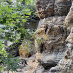 23.07.2023. Rezerwat Skałki Piekło pod Niekłaniem / Fot. Robert Felczak – Radio Kielce