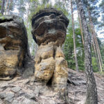 23.07.2023. Rezerwat Skałki Piekło pod Niekłaniem / Fot. Robert Felczak – Radio Kielce