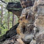 23.07.2023. Rezerwat Skałki Piekło pod Niekłaniem / Fot. Robert Felczak – Radio Kielce