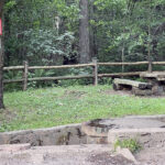 23.07.2023. Źródełko koło Rezerwatu Skałki Piekło pod Niekłaniem / Fot. Robert Felczak – Radio Kielce