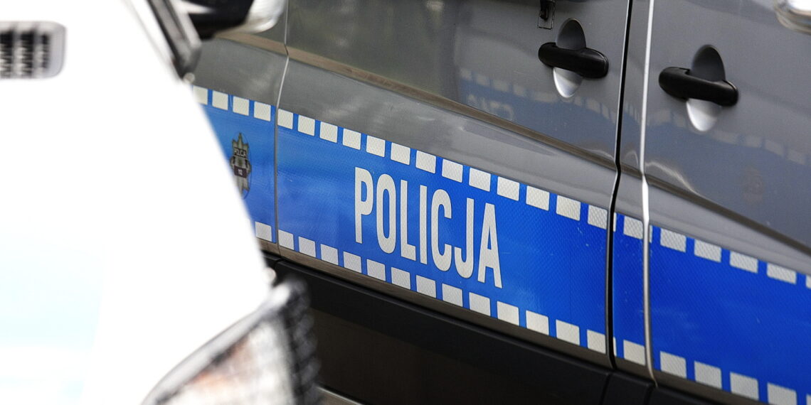 Truchła szczeniąt i ponad 200 psów ujawnili policjanci na terenie Kielc