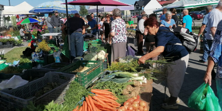 Ceny warzyw i owoców na targu w Pińczowie (26.07.2023)