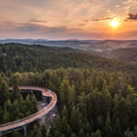 RADIO KRAKÓW. W Cieżkowicach otwarto wreszcie Ścieżkę w Koronach Drzew