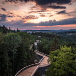 Ciężkowice. Ścieżka w Koronach Drzew / Fot. Urząd Gminy Ciężkowice