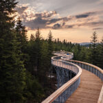 Ciężkowice. Ścieżka w Koronach Drzew / Fot. Urząd Gminy Ciężkowice