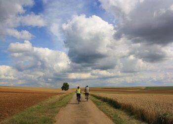 Pogoda nie tylko dla rolników na lipiec i sierpień