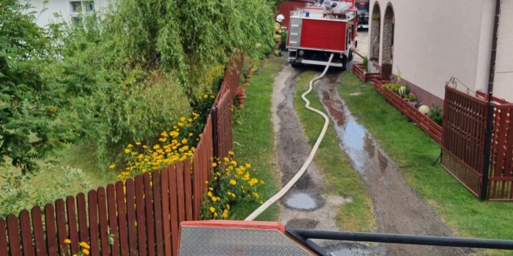 Pożar w chlewni. 28 strażaków gasiło ogień