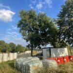 22.08.2023. Suchedniów. Park miejski / Fot. Paulina Michta - Radio Kielce