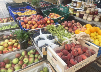 Fot. Grażyna Szlęzak - Radio Kielce