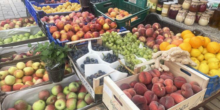 Ceny warzyw i owoców w Sandomierzu (25.08.2023) - Radio Kielce Fot. Grażyna Szlęzak - Radio Kielce