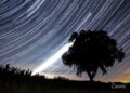 W nocy maksimum roju Perseidów; wiele ośrodków organizuje noc „spadających gwiazd”