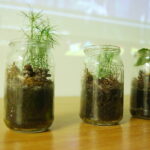 Młodzi ludzie chcą pomóc przyrodzie - Radio Kielce 21.08.2023. Kielce. Zakończenie projektu „Gram w zielone – bądźmy eko” / Fot. Wiktor Taszłow - Radio Kielce