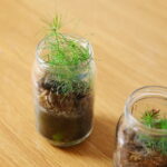 Młodzi ludzie chcą pomóc przyrodzie - Radio Kielce 21.08.2023. Kielce. Zakończenie projektu „Gram w zielone – bądźmy eko” / Fot. Wiktor Taszłow - Radio Kielce