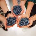 Borówki i owoce jagodowe / źródło: PAP MediaRoom / PolskieSuperowoce.pl