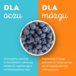 Borówki i owoce jagodowe / źródło: PAP MediaRoom / PolskieSuperowoce.pl