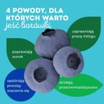 Borówki i owoce jagodowe / źródło: PAP MediaRoom / PolskieSuperowoce.pl