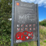 Miejskie place zabaw i niebezpieczeństwa - Radio Kielce 08.08.2023. Kielce. Zniszczony plac zabaw. Ulica Dewońska / Fot. Wiktor Taszłow - Radio Kielce