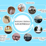 Legionelloza to niebezpieczna choroba zakaźna powodowana przez bakterie z rodzaju Legionella / źródło: gov.pl