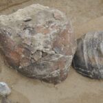 Od paleolitu do baroku na S7