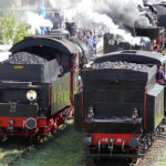 Wolsztyn. Parada Parowozów / Fot. Robert Felczak – Radio Kielce