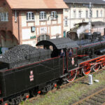 Wolsztyn. Parada Parowozów / Fot. Robert Felczak – Radio Kielce