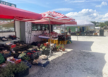 Ceny z giełdy rolnej w Sandomierzu - Radio Kielce