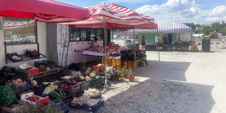 Ceny z giełdy rolnej w Sandomierzu - Radio Kielce Ceny z giełdy rolnej w Sandomierzu - Radio Kielce