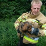 Fot. straż pożarna