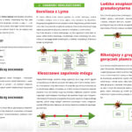 kleszcze i choroby odkleszczowe