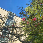 26.09.2023. Kielce. Ogród Radia Kielce / Fot. Angelika Rejnowicz - Radio Kielce